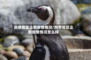 热带地区企鹅疫情情况/热带地区企鹅疫情情况怎么样