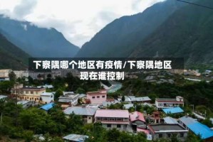 下察隅哪个地区有疫情/下察隅地区现在谁控制