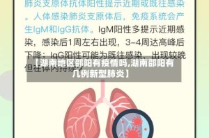 【湖南地区邵阳有疫情吗,湖南邵阳有几例新型肺炎】