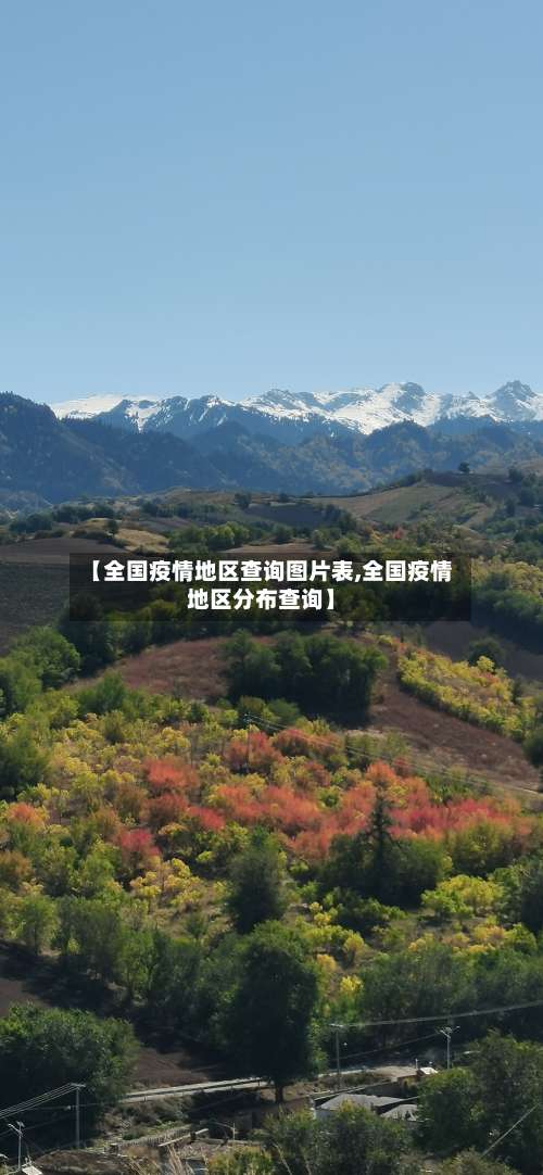 【全国疫情地区查询图片表,全国疫情地区分布查询】-第2张图片