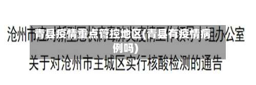 青县疫情重点管控地区(青县有疫情病例吗)-第2张图片