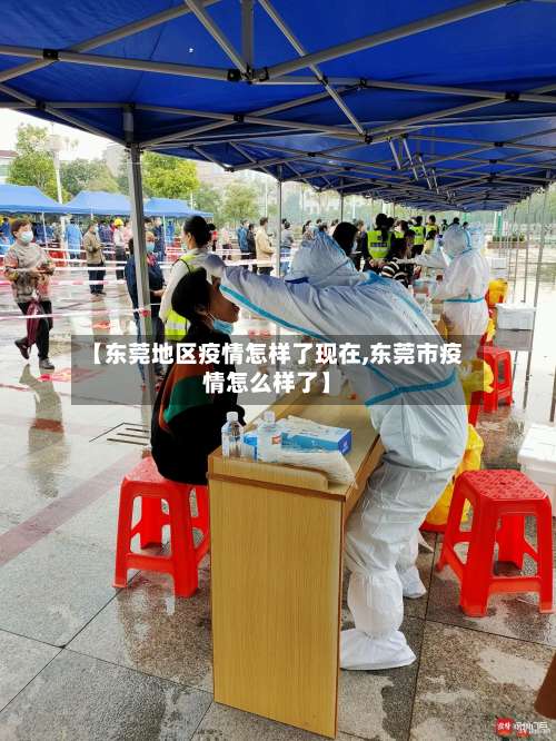 【东莞地区疫情怎样了现在,东莞市疫情怎么样了】-第2张图片