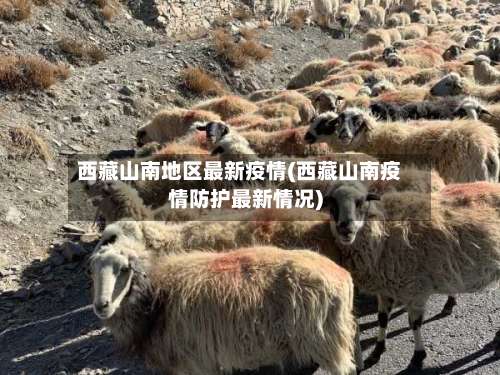 西藏山南地区最新疫情(西藏山南疫情防护最新情况)-第1张图片