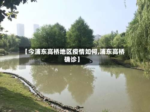 【今浦东高桥地区疫情如何,浦东高桥确诊】-第3张图片