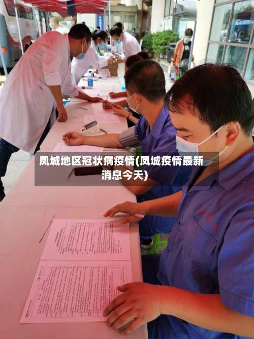 凤城地区冠状病疫情(凤城疫情最新消息今天)-第3张图片